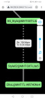 Screenshot 20210214 142842 com.android.chrome